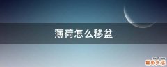 薄荷怎么移盆