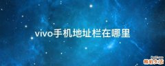 vivo手机地址栏在哪里