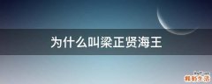为什么叫梁正贤海王