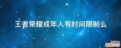 王者荣耀成年人有时间限制么