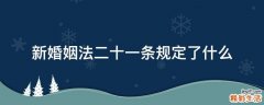 新婚姻法二十一条规定了什么