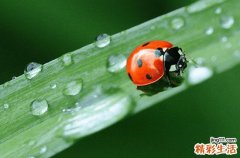 下雨天说说唯美句子 下雨天说说走心文案