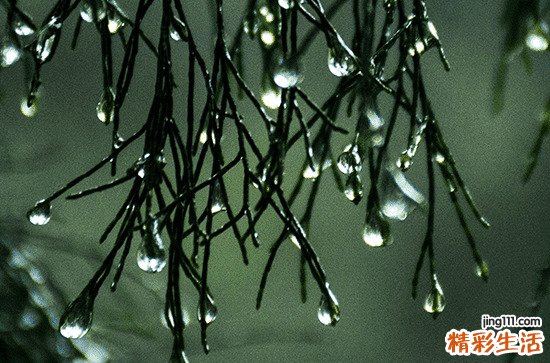 适合雨天发的朋友圈文案90句简短