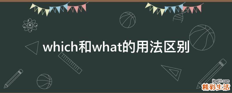 which和what的用法区别