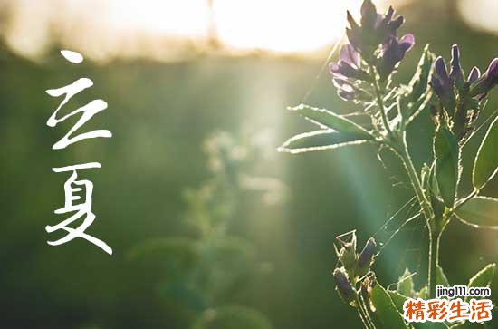 2023年几点立夏