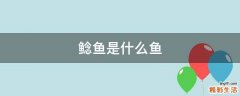 鲶鱼是什么鱼