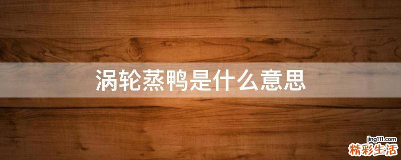 涡轮蒸鸭是什么意思