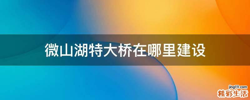 微山湖特大桥在哪里建设