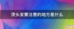烫头发要注意的地方是什么
