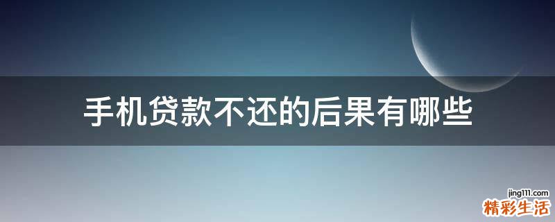 手机贷款不还的后果有哪些