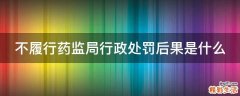 不履行药监局行政处罚后果是什么