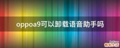 oppoa9可以卸载语音助手吗
