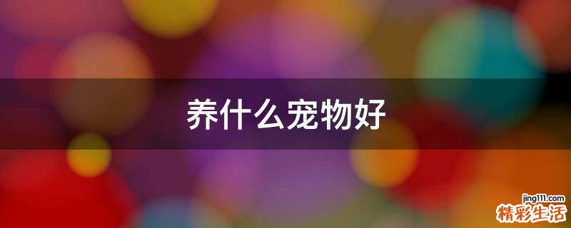 养什么宠物好