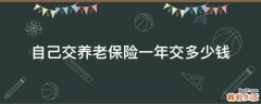 自己交养老保险一年交多少钱