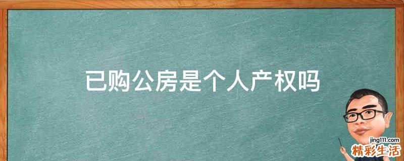 已购公房是个人产权吗