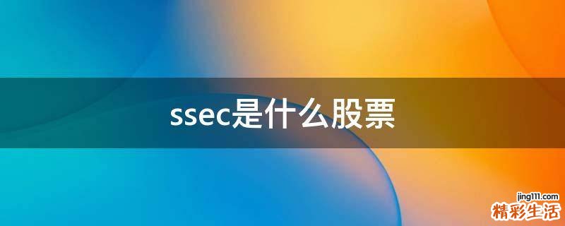 ssec是什么股票