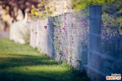 2 有车族要应对六大毁容危机