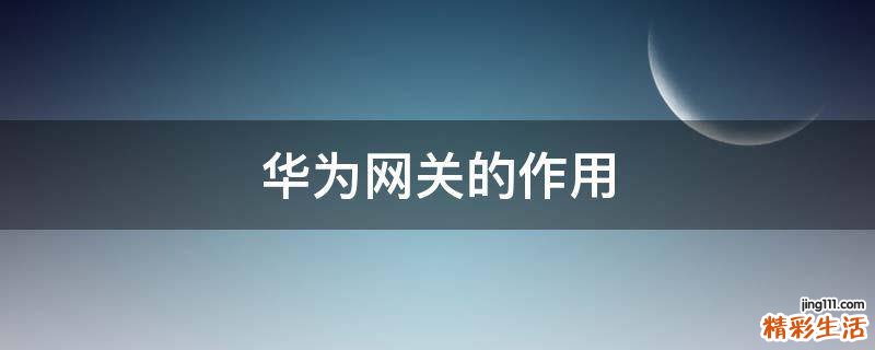 华为网关的作用