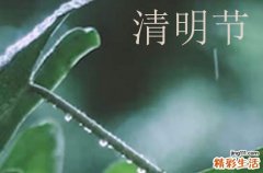 2023清明节股市休几天 2023清明节股市有休市吗