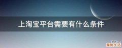 上淘宝平台需要有什么条件