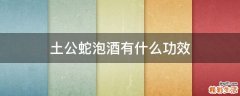 土公蛇泡酒有什么功效