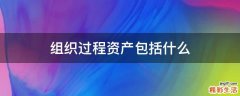 组织过程资产包括什么