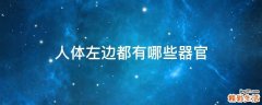 人体左边都有哪些器官
