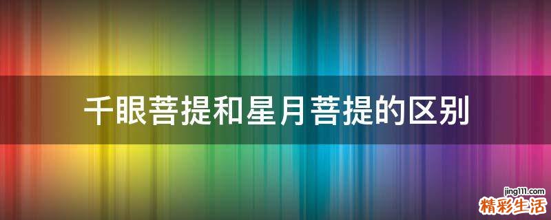 千眼菩提和星月菩提的区别