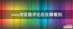 vivo浏览器评论后在哪看到