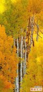 胃火按摩什么穴位