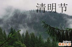 今年清明节是哪一天几号2023