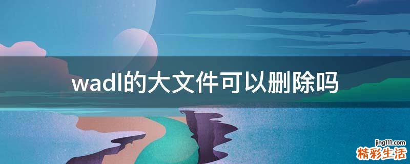 wadl的大文件可以删除吗