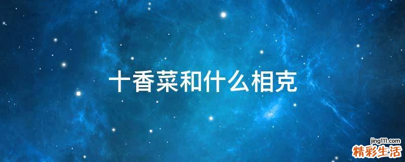 十香菜和什么相克