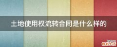 土地使用权流转合同是什么样的