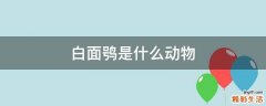 白面鸮是什么动物