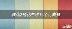 驻花2号花生种几个月成熟