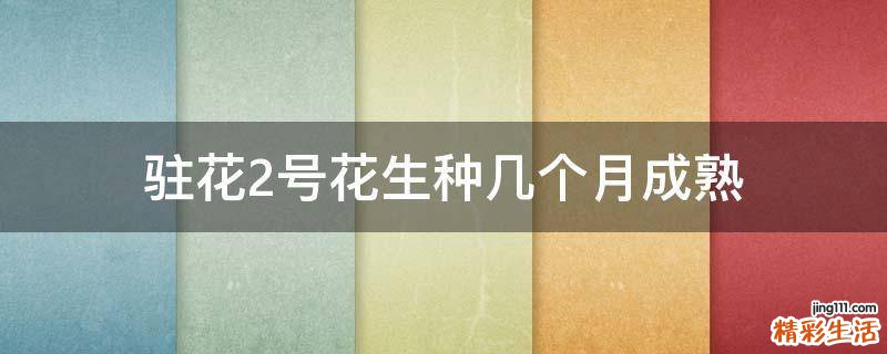驻花2号花生种几个月成熟