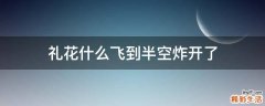 礼花什么飞到半空炸开了