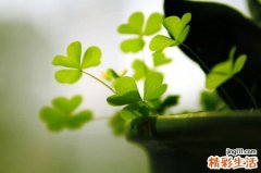 低血糖的人瘦嗎