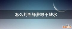 怎么判斷綠蘿缺不缺水
