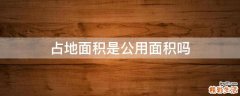 占地面积是公用面积吗