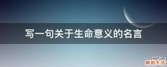 写一句关于生命意义的名言
