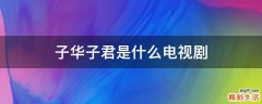 子华子君是什么电视剧