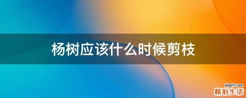 杨树应该什么时候剪枝