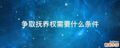 争取抚养权需要什么条件