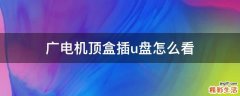 广电机顶盒插u盘怎么看
