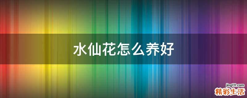 水仙花怎么养好