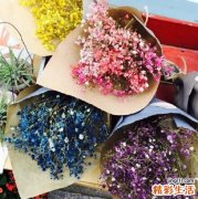 巨细胞包涵体概述