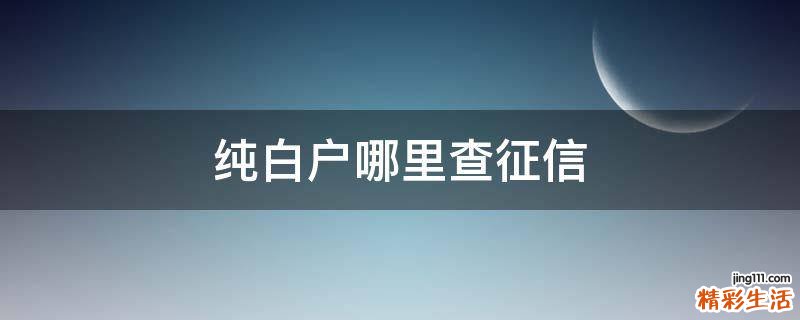 纯白户哪里查征信