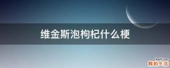 维金斯泡枸杞什么梗